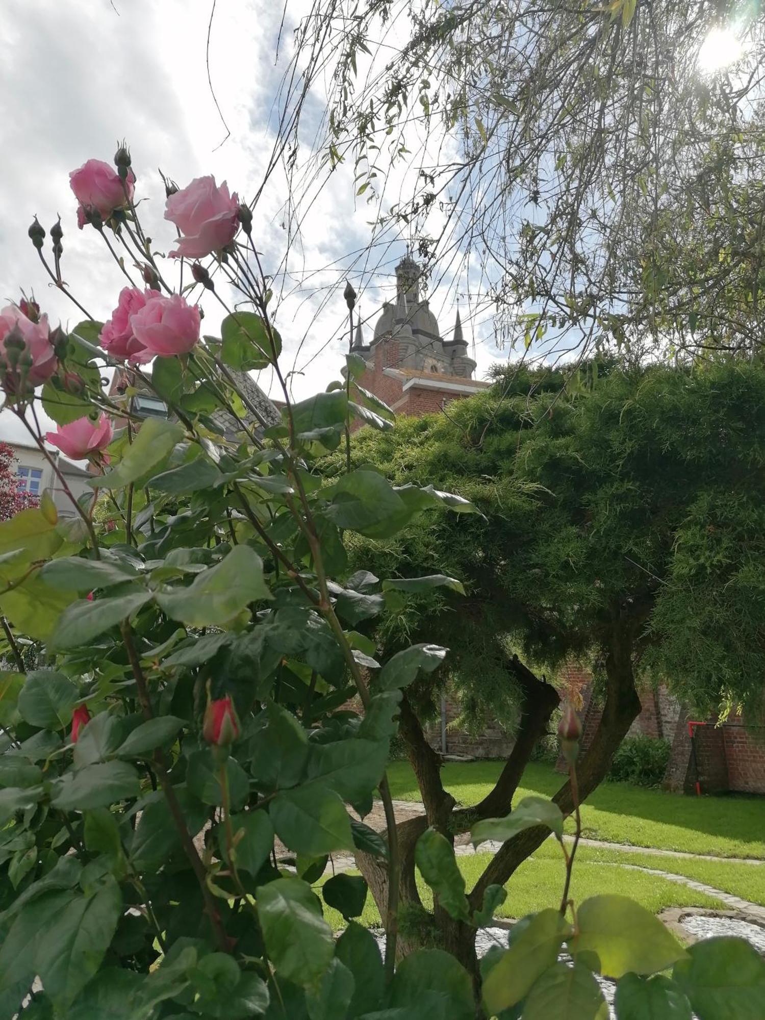Le Relais Napoleon Bed and Breakfast Avesnes-sur-Helpe Buitenkant foto