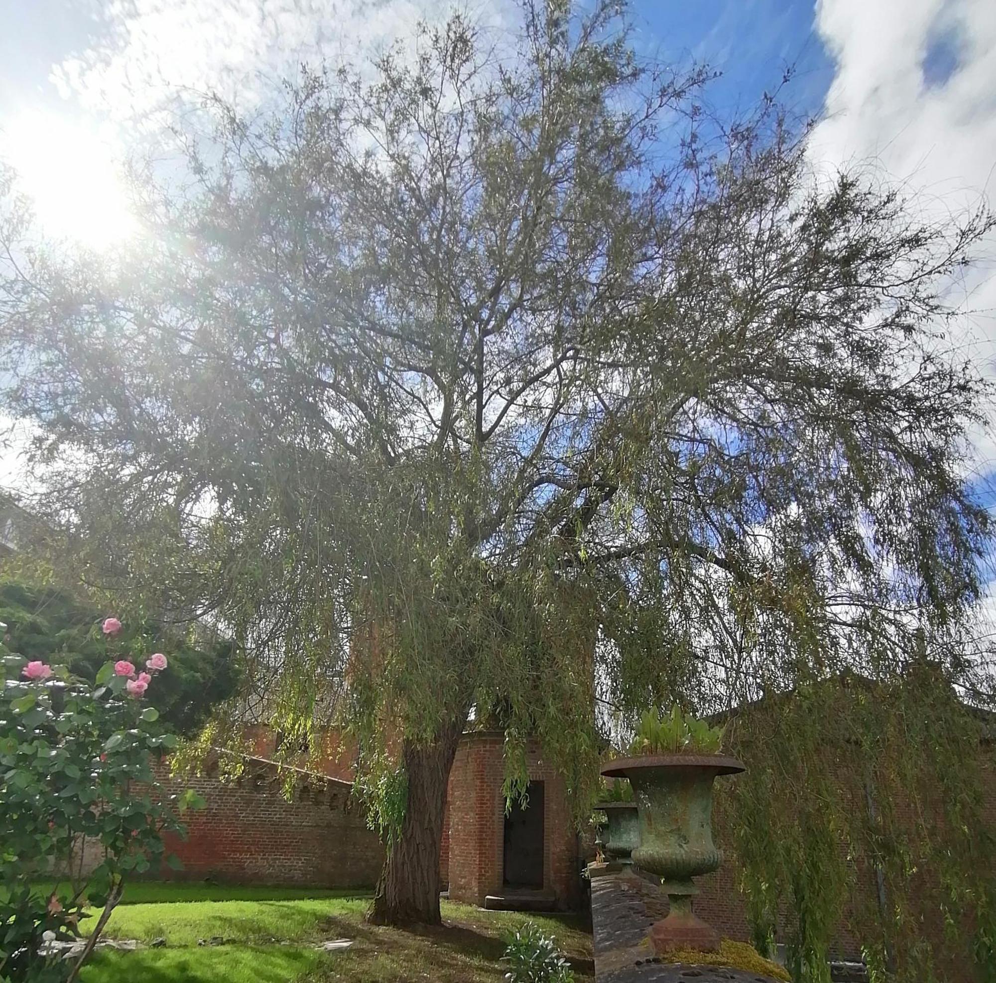 Le Relais Napoleon Bed and Breakfast Avesnes-sur-Helpe Buitenkant foto